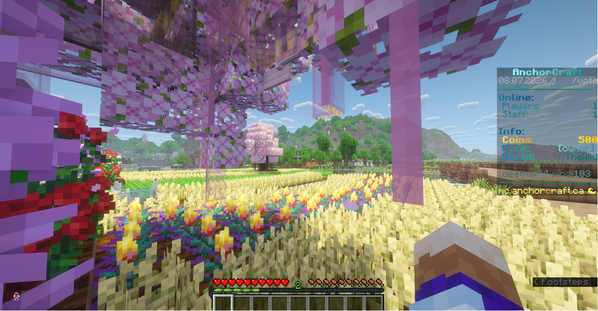 AnchorCraft