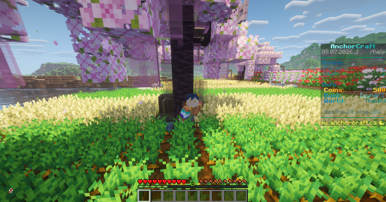 AnchorCraft