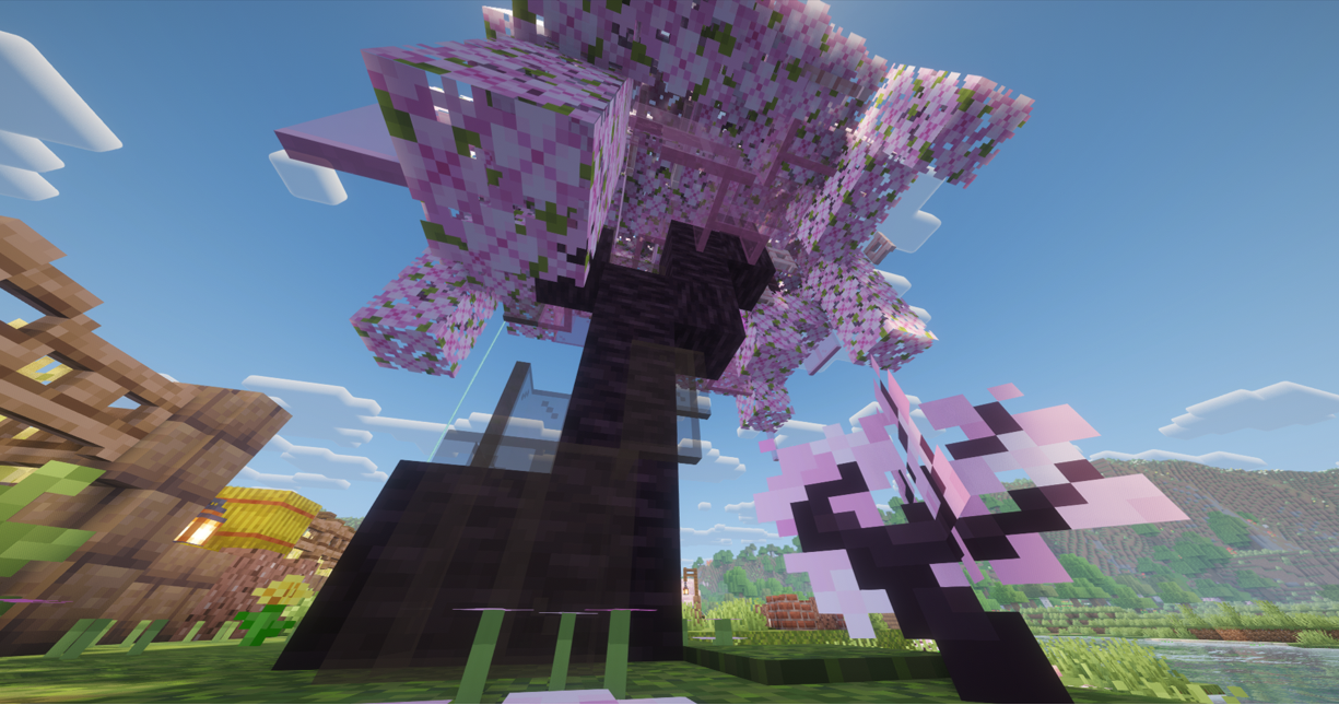 AnchorCraft