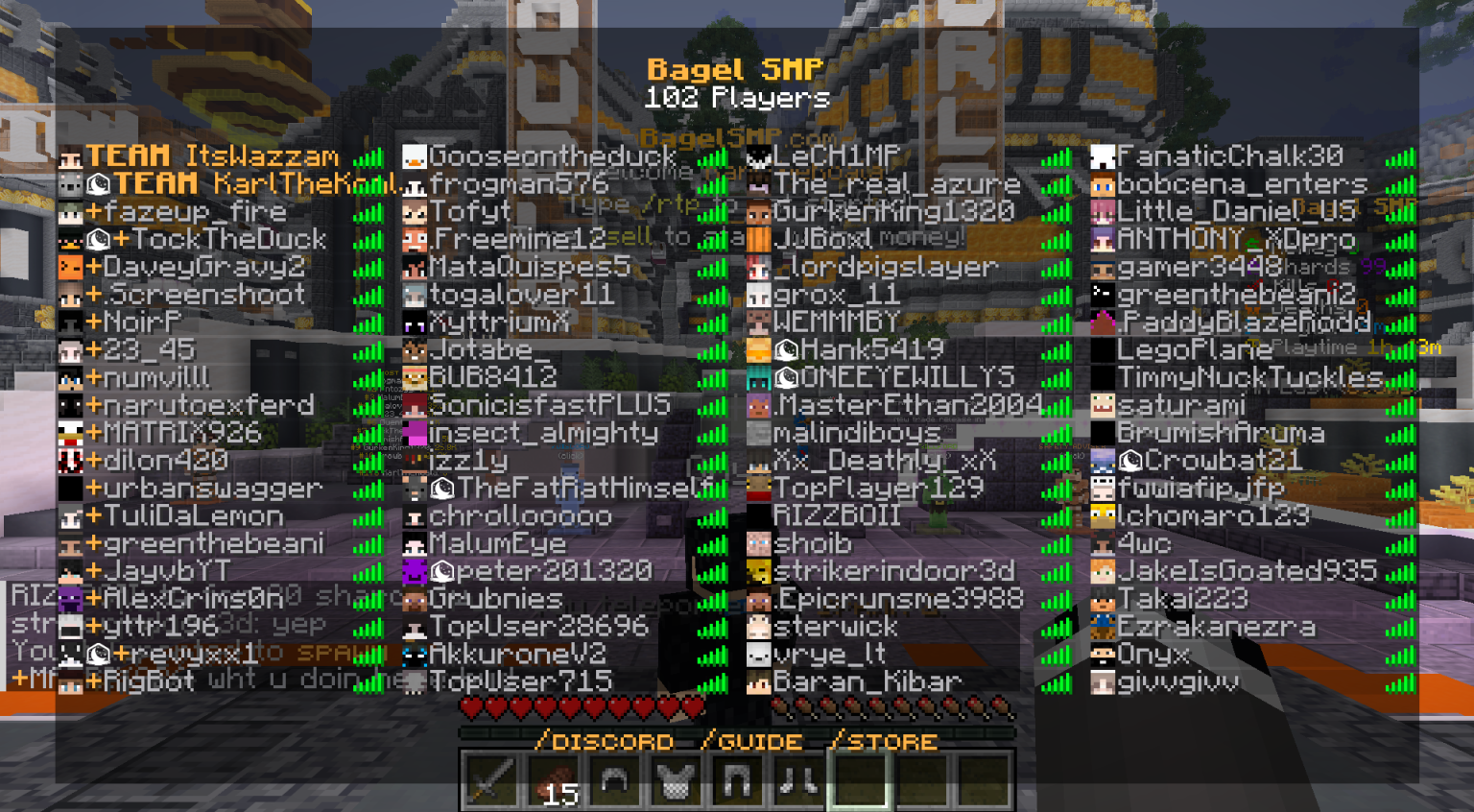 BagelSMP